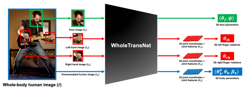 Main figure for Whole-body Human Mesh Reconstruction with Transformer (View)